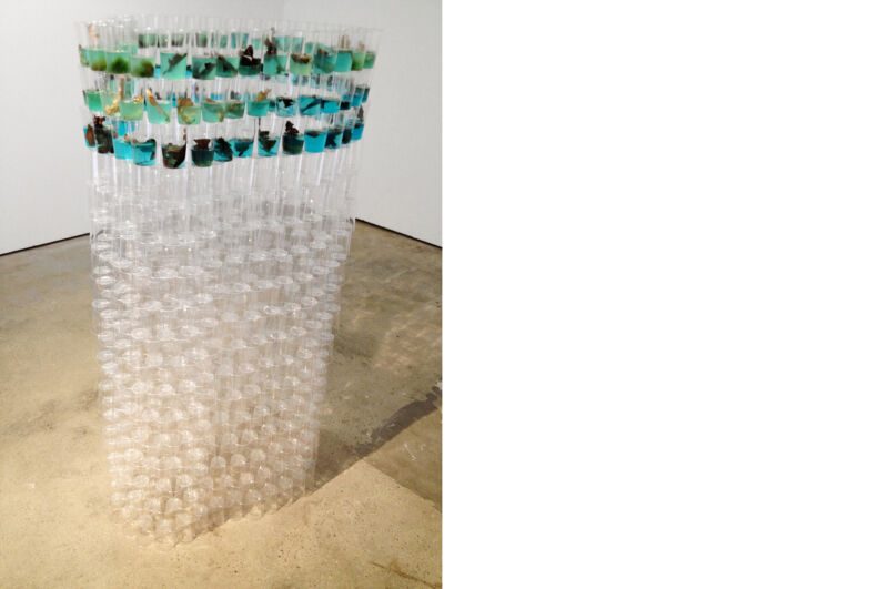 Ausstellungsansicht: Les jeux ne sont pas faits, Oxyd Kunsträume, 1. – 29. September 2013, Philippe Winninger