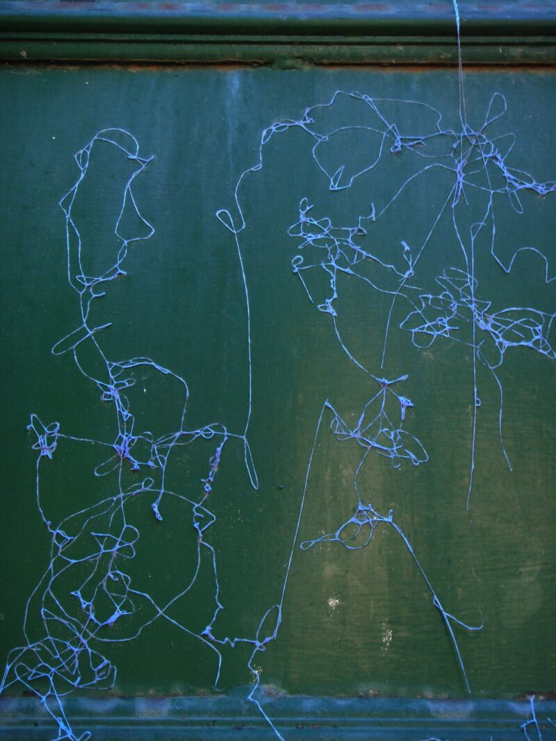 Netz aus feinen hellblauen Fadenlinien wie eine Zeichnung auf dunkelgrüner Tafel, Fotografie aus der Serie «Alltägliche Fundstücke II»