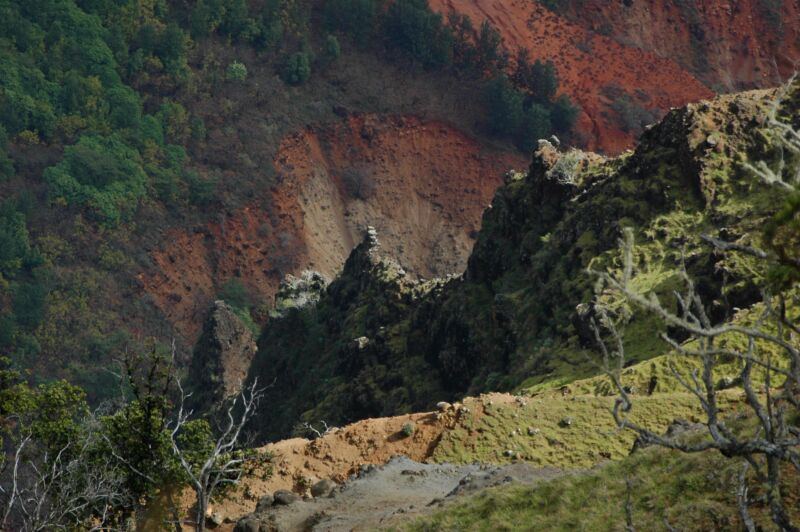Zerklüfteter, moosgrüner Felsgrat vor rostroter, erodierter Hangflanke, vorne kahle Äste, Fotografie aus der Serie «Hawaii»