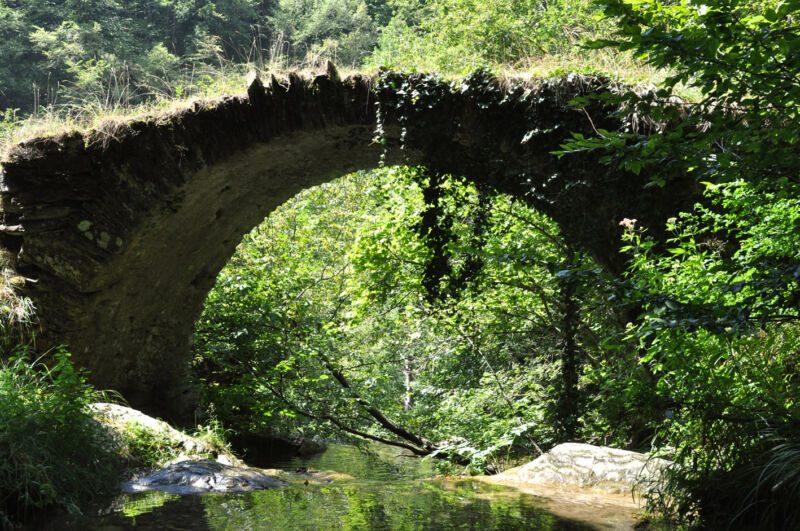 Alte, bewachsene Steinbogenbrücke über einem Bach, durch den Bogen grünes Laub, Fotografie aus der Serie «An ligurischen Flüssen und Bächen»