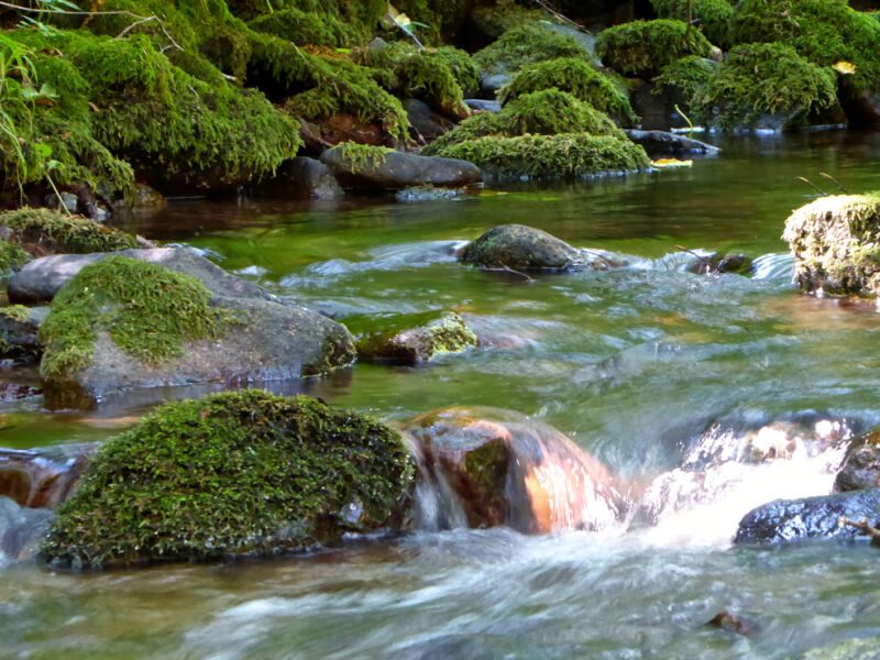 Bach fliesst rauschend zwischen runden, mit sattem Moos bedeckten Steinen, Fotografie aus der Serie «Schwarzwald»
