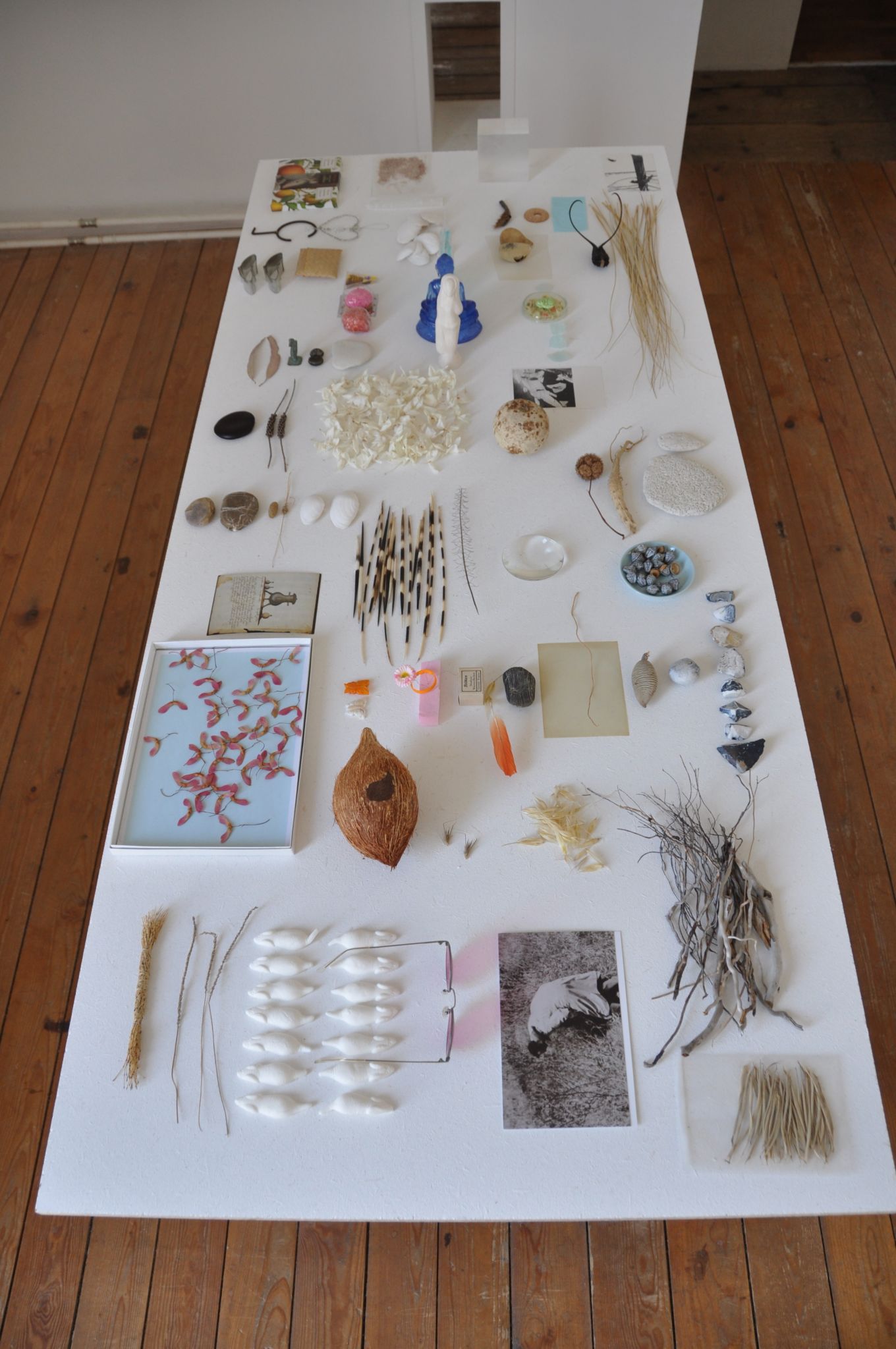 Ausstellungsansicht: «Subjekt = Objekt = Subjekt» Nr. 42, Oxyd, 2010, Sonja Friedrich