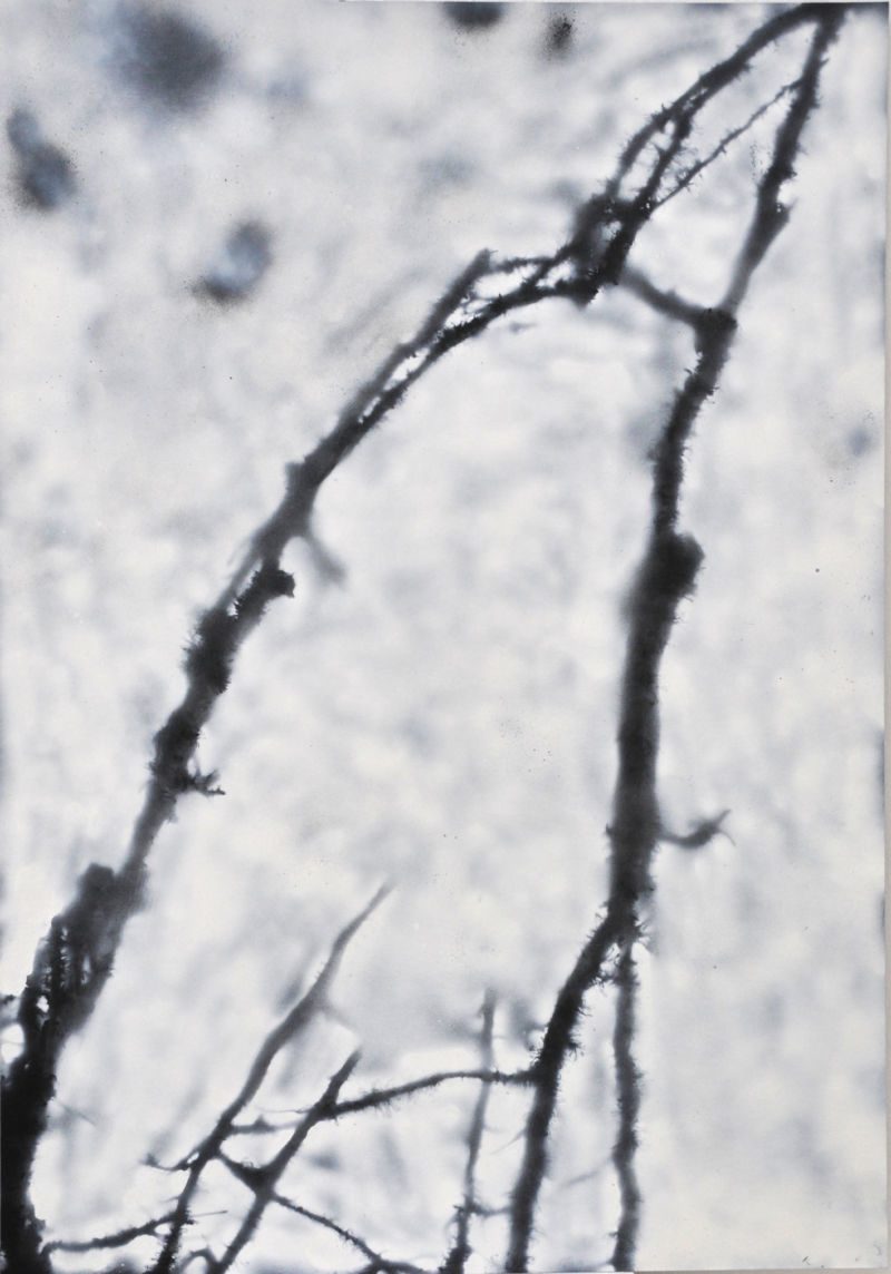 Efeu, 2014, Gouache / Acryl auf Papier, 100 x 70 cm, Werk aus der Serie «Efeu»