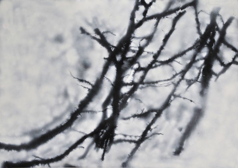 Efeu, 2014, Gouache / Acryl auf Papier, 70 x 100 cm, Werk aus der Serie «Efeu»