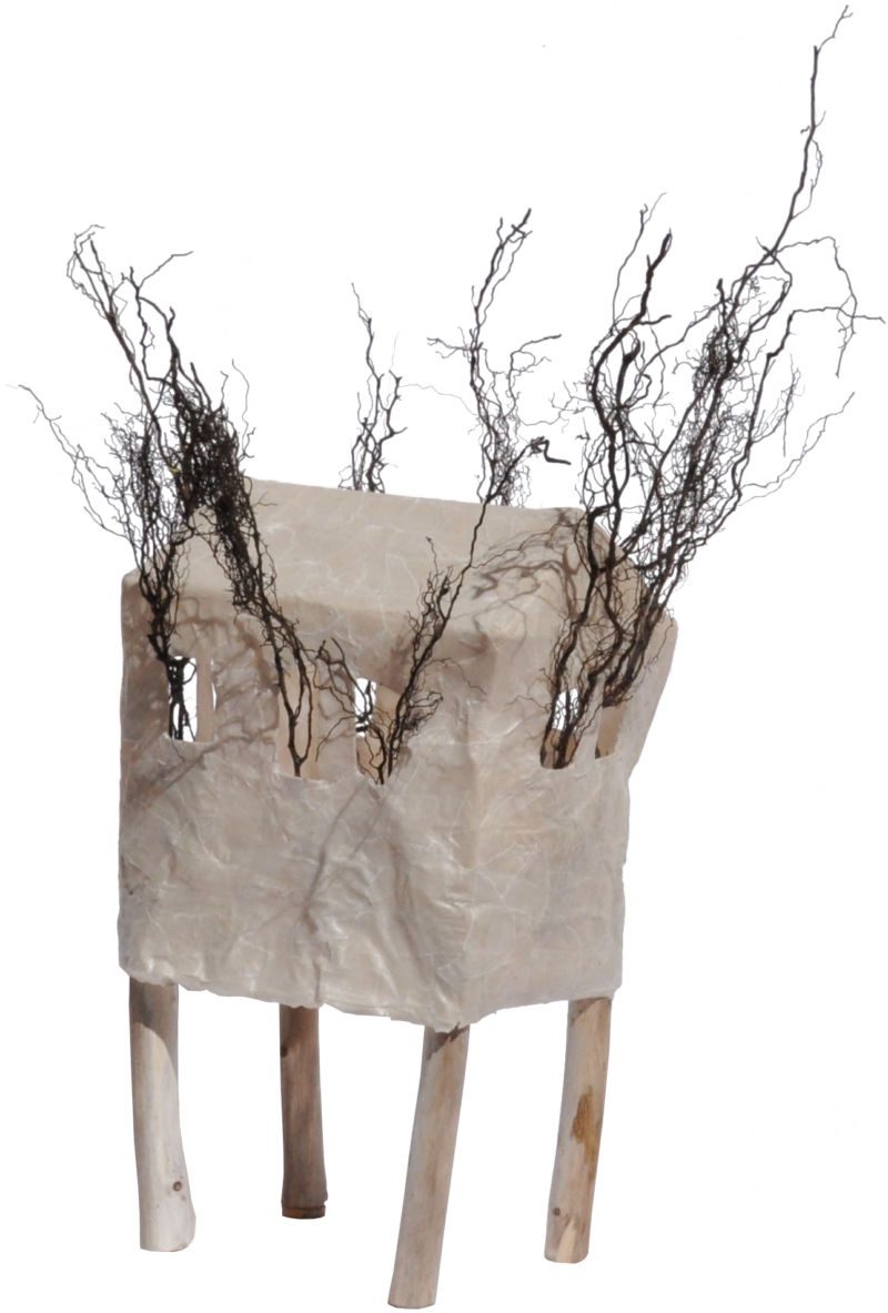 Luftwurzeln, 2013, Transparentapapier, Leim, Holz, Wurzeln, ca. 40 x 18 x 15 cm, Objekt aus der Serie «Häuser I»