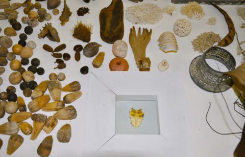 Strandgut Hawaii, Tisch Oxyd, 2010, Werk aus der Serie «Strandgut I»