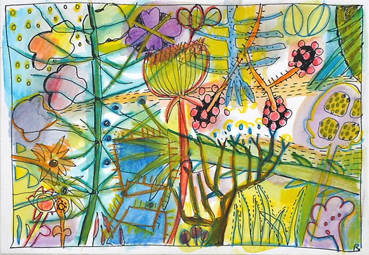 Sommerblumen (aus 12er-Serie), 2006, Tuschestift, Aquarellfarbstift, 12,5 x 18 cm, Zeichnung aus der Serie «Sommerblumen»